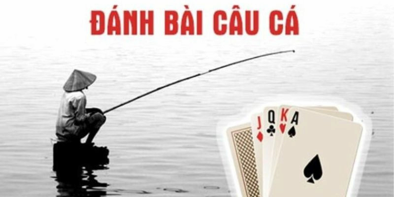 Hướng dẫn hội viên tham gia chơi bài câu cá