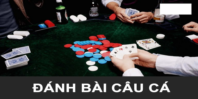 Một số cách chơi bài câu cá giúp bạn toàn thắng